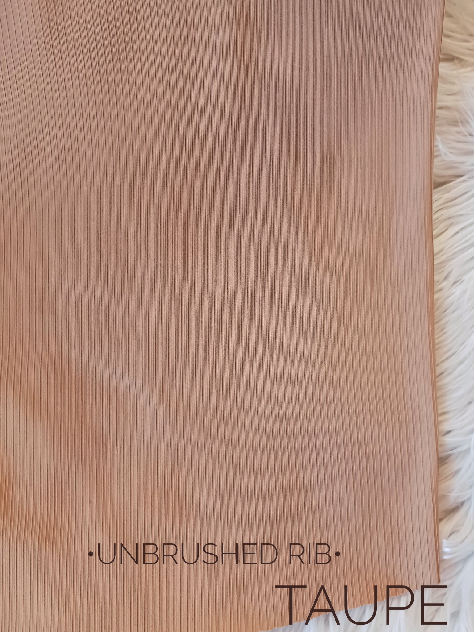 Taupe |Unbrushed Rib Knit|Solids |By the Half Yard